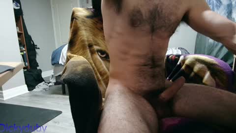 Snapshot of bigdickyduby chatting on 01/02/25, 06:29 George Forest Dickyduby on all Socials online show from 01/02/25, 06:29