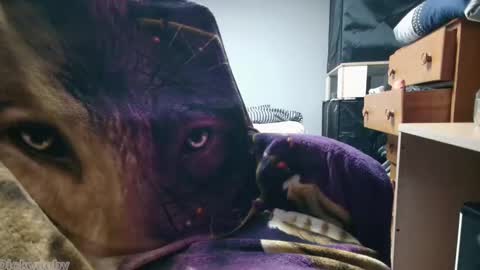 Snapshot of bigdickyduby chatting on 11/12/25, 02:01 George Forest Dickyduby on all Socials online show from 11/12/25, 02:01