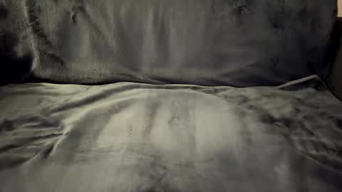 bigdoghandlerofficial online show from 02/08/26, 08:34