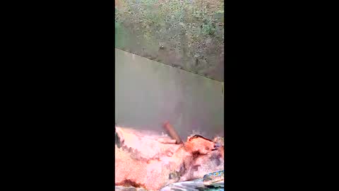 Snapshot of bigernine chatting on 01/10/26, 11:23 bigernine online show from 01/10/26, 11:23