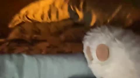 biggahhdihhh online show from 04/09/26, 09:26