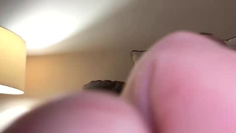 Snapshot of biggloves4bighands chatting on 11/16/25, 12:05 biggloves4bighands online show from 11/16/25, 12:05