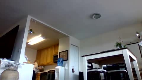 bigjoed233 online show from 01/10/26, 03:47