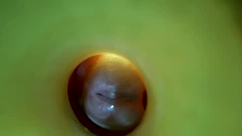 Snapshot of bigmoneycorey chatting on 03/16/26, 06:56 bigmoneycorey online show from 03/16/26, 06:56