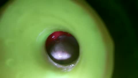 Snapshot of bigmoneycorey chatting on 04/01/26, 07:11 bigmoneycorey online show from 04/01/26, 07:11