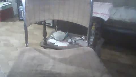 bigpenix online show from 12/21/24, 03:25