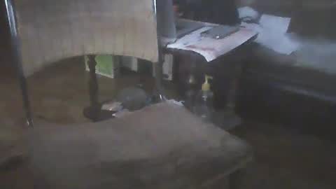 bigpenix online show from 01/15/25, 02:06