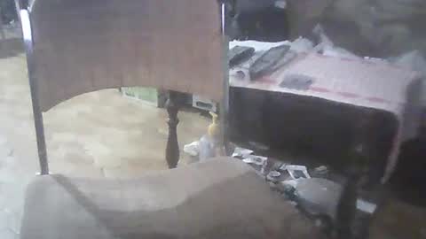 bigpenix online show from 03/02/25, 03:56