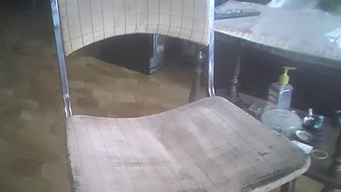 bigpenix online show from 12/21/25, 03:41