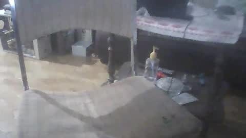 bigpenix online show from 04/26/26, 12:08