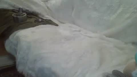 ...... online show from 12/14/24, 05:29