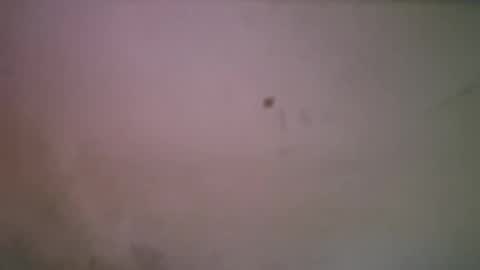 bigsssnake69 online show from 04/21/26, 01:42