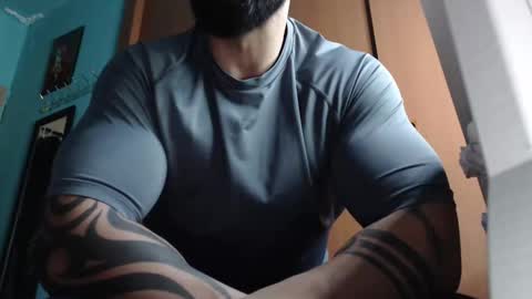 BigStallion online show from 11/19/25, 11:49