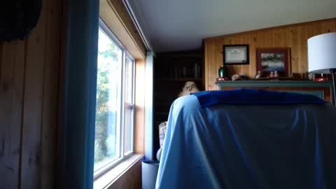 Snapshot of bigthicksatisfying2 chatting on 09/17/25, 08:32 bigthicksatisfying2 online show from 09/17/25, 08:32