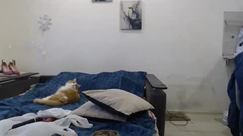 BigTwinsOmg online show from 11/18/25, 06:40