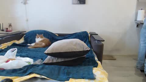 BigTwinsOmg online show from 02/20/26, 06:26