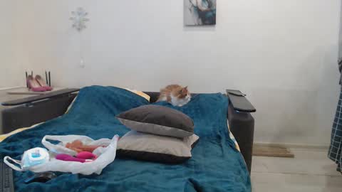 BigTwinsOmg online show from 02/27/26, 05:51