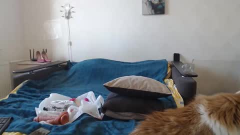 BigTwinsOmg online show from 03/11/26, 07:36