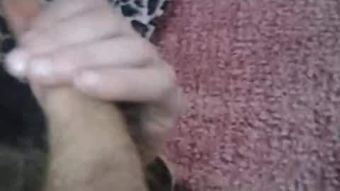 Snapshot of bigwalkdog420 chatting on 01/26/25, 06:58 bigwalkdog420 online show from 01/26/25, 06:58