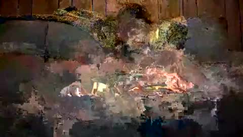 Snapshot of bigwytecock1979 chatting on 12/11/24, 07:31 bigwytecock1979 online show from 12/11/24, 07:31