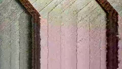 Snapshot of bigwytecock1979 chatting on 12/24/24, 04:30 bigwytecock1979 online show from 12/24/24, 04:30