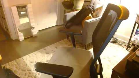 Snapshot of bijockdadohio chatting on 03/29/26, 05:18 Jeff online show from 03/29/26, 05:18