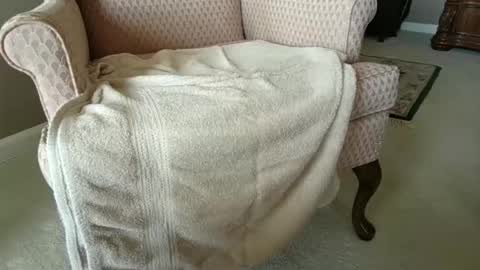 billernest99 online show from 10/01/25, 05:52