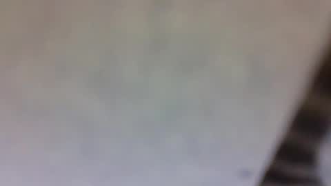 Snapshot of billmenow141 chatting on 03/10/25, 10:59 billmenow141 online show from 03/10/25, 10:59