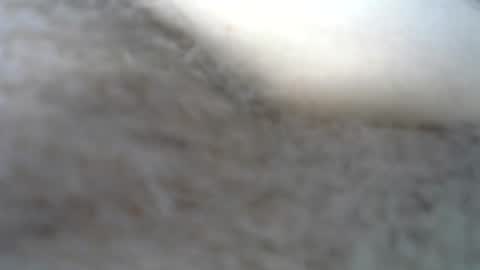 billpark20 online show from 05/22/26, 02:30