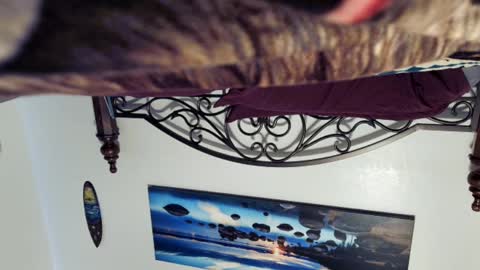 Starlyte online show from 03/02/25, 08:40