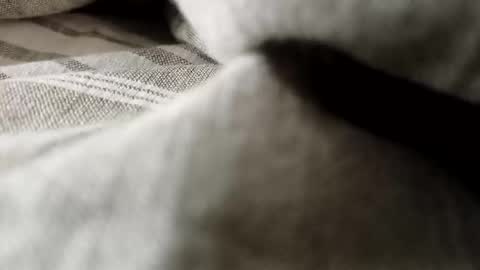 billy7801801010 online show from 02/20/26, 01:13