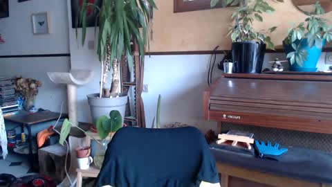 Snapshot of billy_fingercut chatting on 03/04/25, 07:30 Billy FingerCut online show from 03/04/25, 07:30