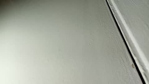 Bill online show from 01/19/25, 07:36