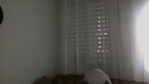 Bill online show from 02/16/25, 07:59