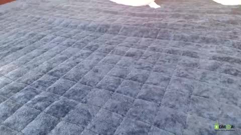 Bill online show from 04/23/26, 11:53