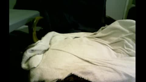 bimale4hotphuk online show from 02/20/25, 09:44