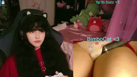 Snapshot of bimbocat chatting on 06/12/26, 01:26 BimboCat online show from 06/12/26, 01:26
