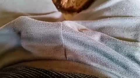 pocolococo online show from 03/23/26, 08:51