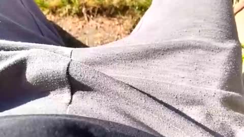 pocolococo online show from 04/01/26, 07:09