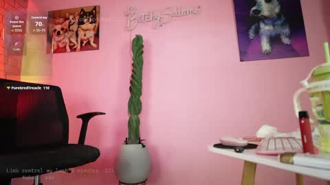 bitchysalome online show from 04/19/26, 06:10