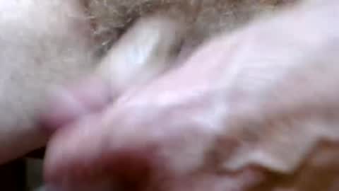 bitexan69 online show from 09/20/25, 09:21