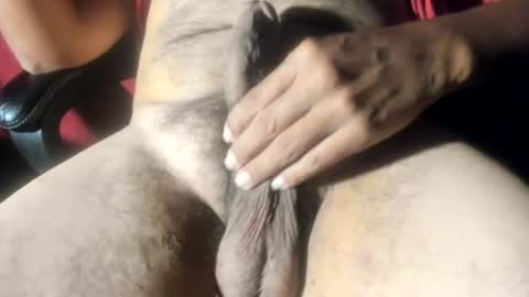 bjlonely7 online show from 07/12/26, 04:03