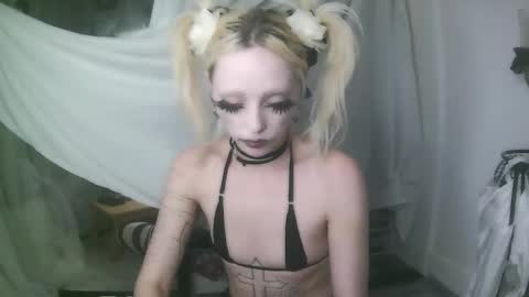 vampire fang  online show from 01/07/26, 12:35