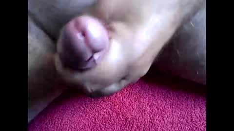 blabla78000 online show from 09/15/25, 06:46