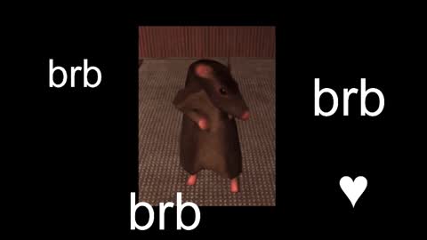  Black Kittie    Wednesday - 1300 - 1900 GMT help me get 100 thumbs up online show from 09/09/25, 12:15