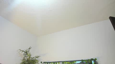 Snapshot of black_rose02 chatting on 01/31/25, 11:35 B L A C K R O S E online show from 01/31/25, 11:35