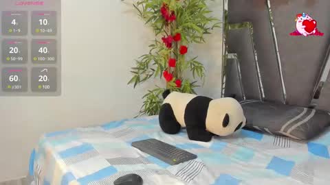 Snapshot of black_rose02 chatting on 02/26/25, 11:41 B L A C K R O S E online show from 02/26/25, 11:41