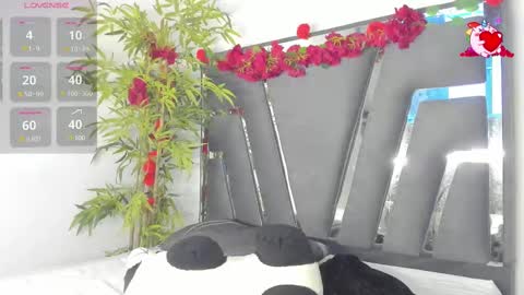 Snapshot of black_rose02 chatting on 03/06/25, 11:47 B L A C K R O S E online show from 03/06/25, 11:47