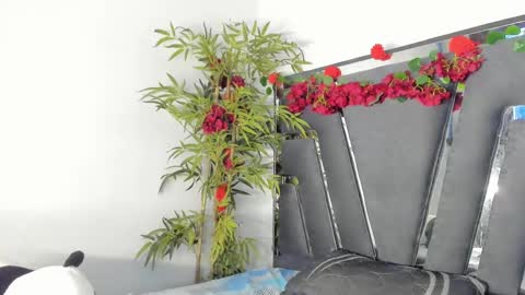Snapshot of black_rose02 chatting on 03/12/25, 02:56 B L A C K R O S E online show from 03/12/25, 02:56