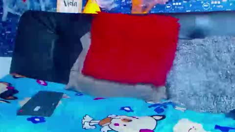 duglas online show from 11/05/25, 05:13